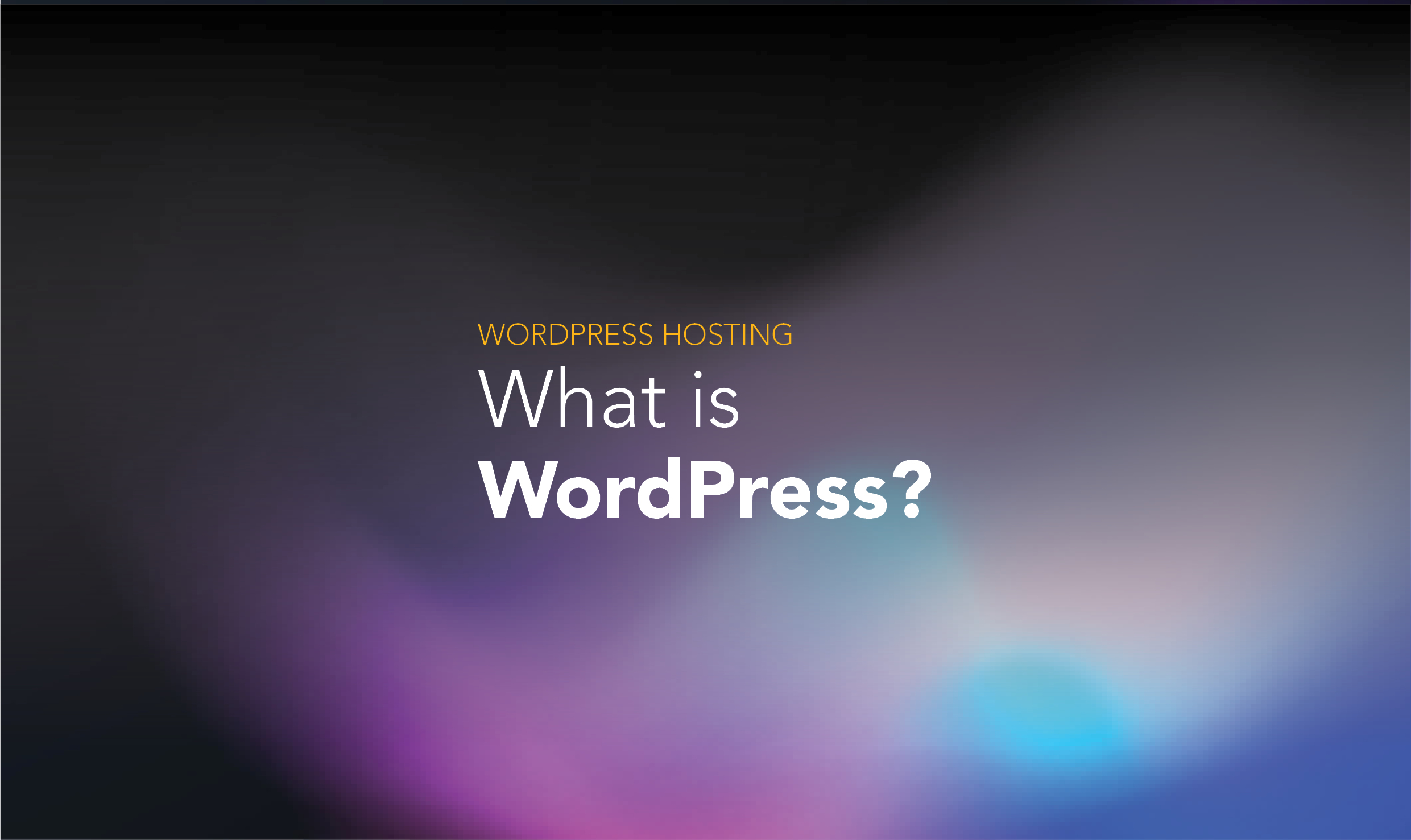 What is wordpress bedot media group